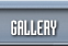 gallery button